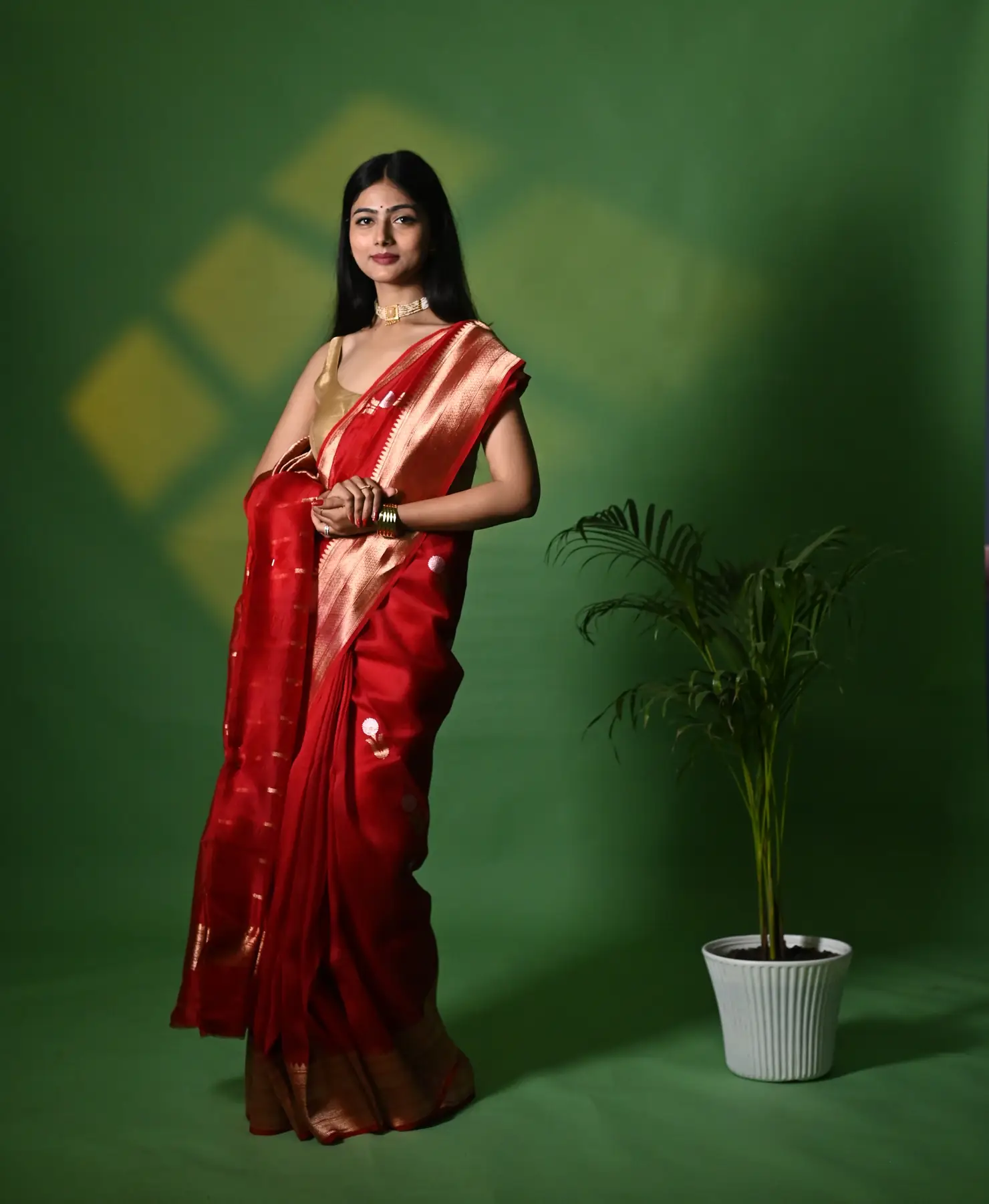 Handloom pure organza banarasi saree