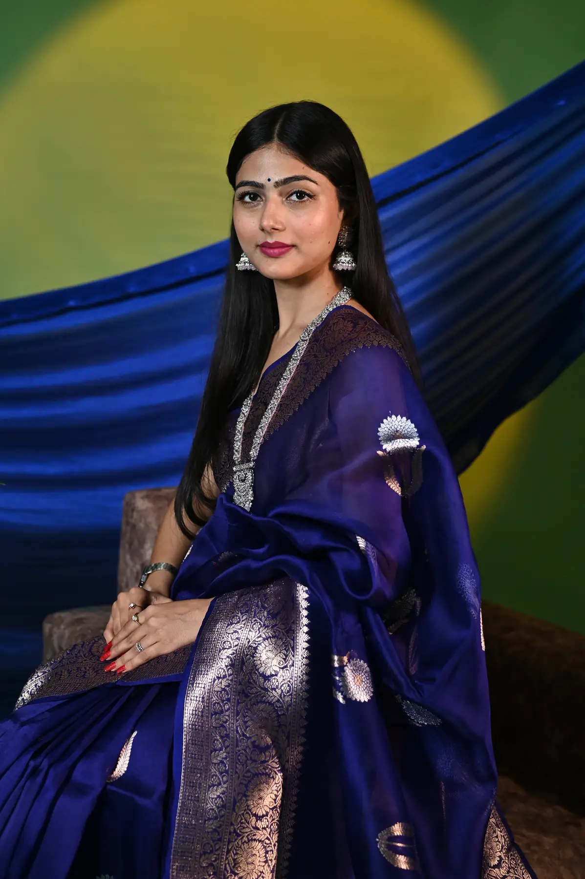 Handloom pure organza banarasi saree
