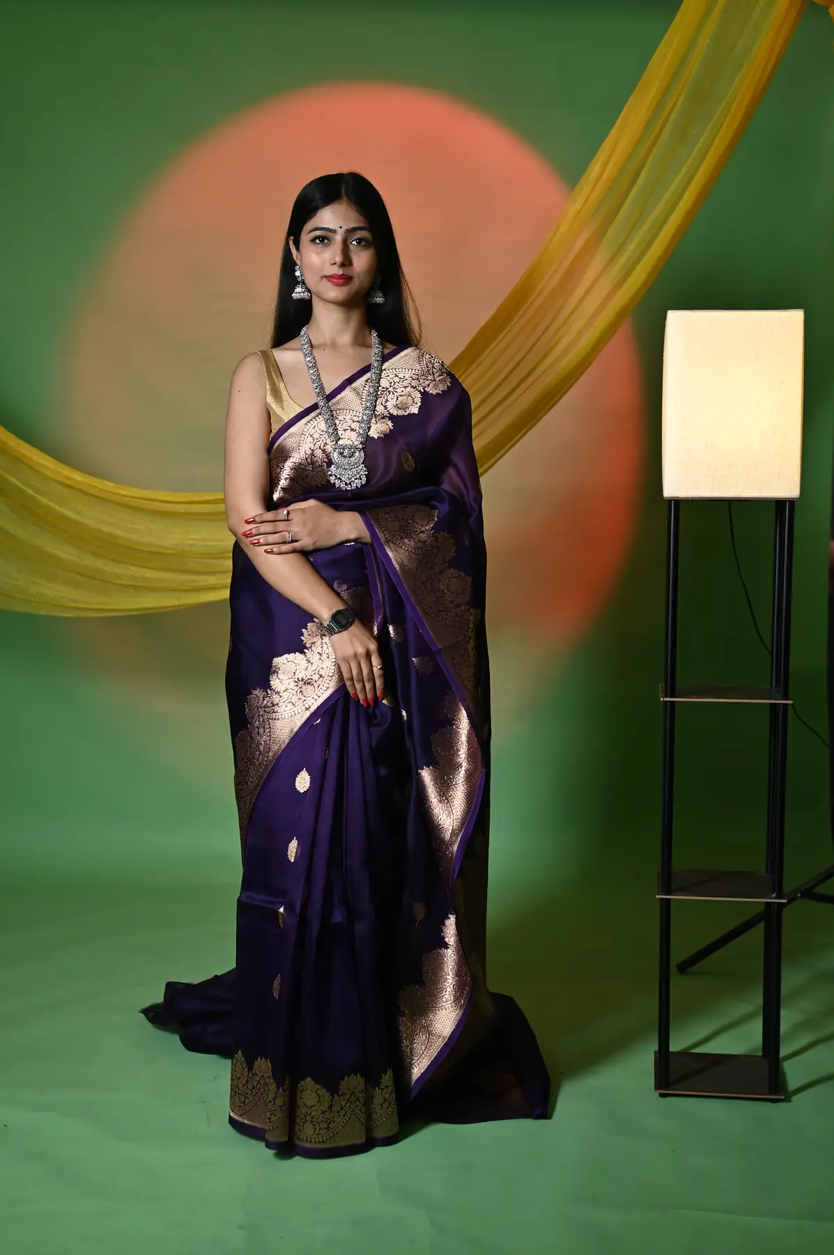 Handloom pure organza banarasi saree