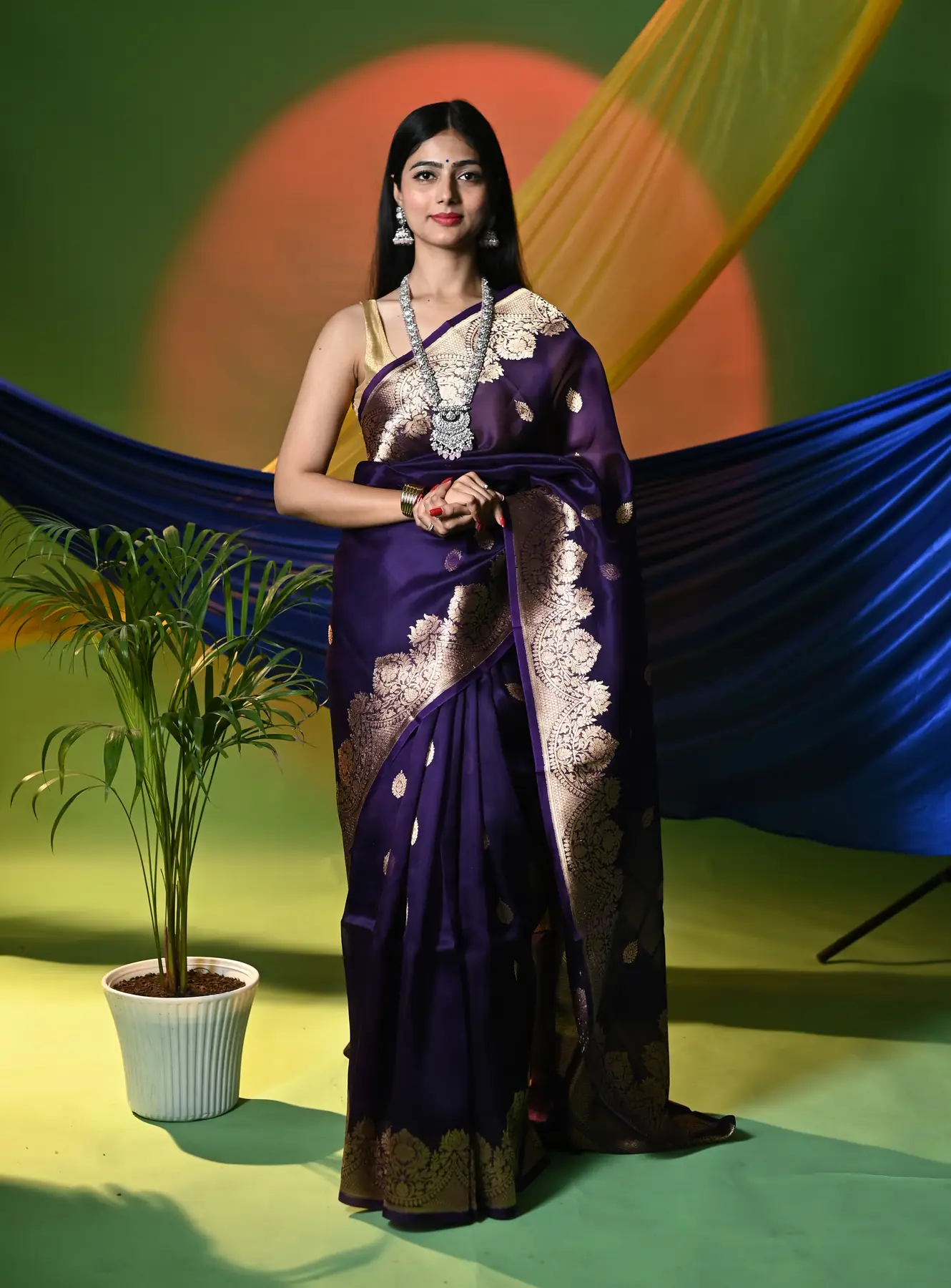Handloom pure organza banarasi saree