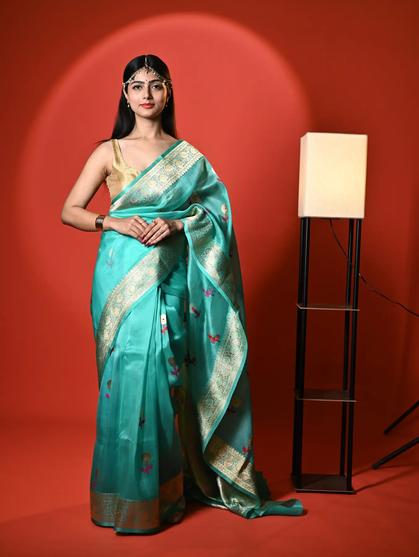 Handloom pure organza banarasi saree
