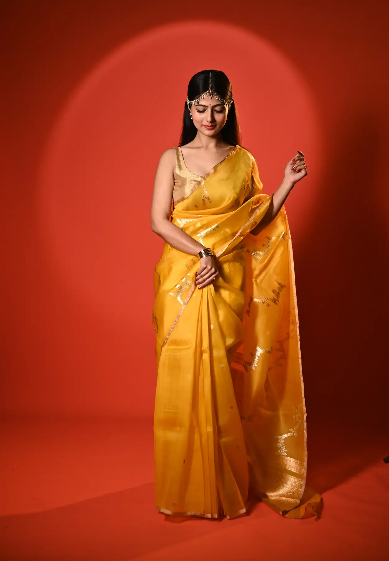 Handloom pure organza banarasi saree