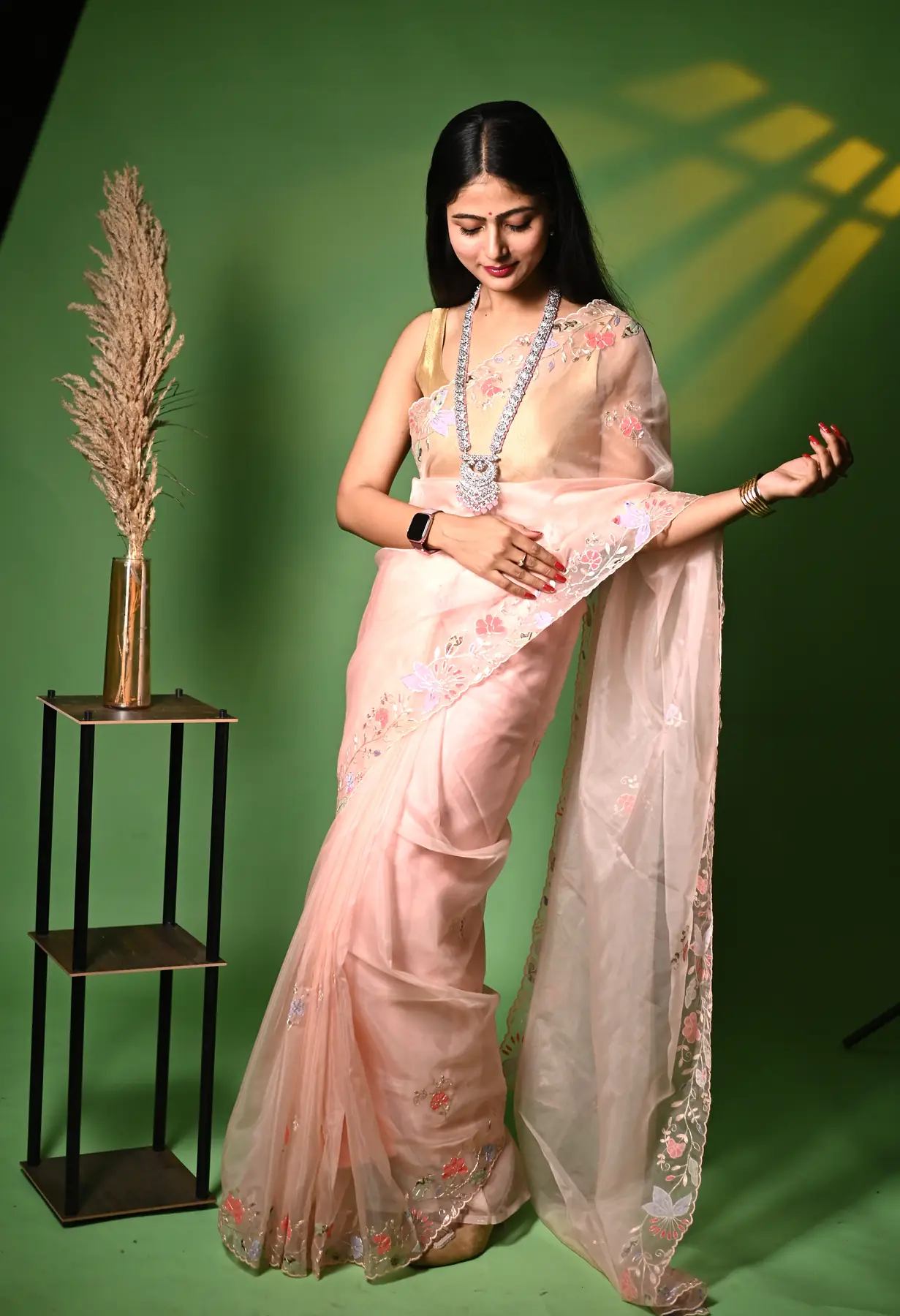 Applique work organza saree