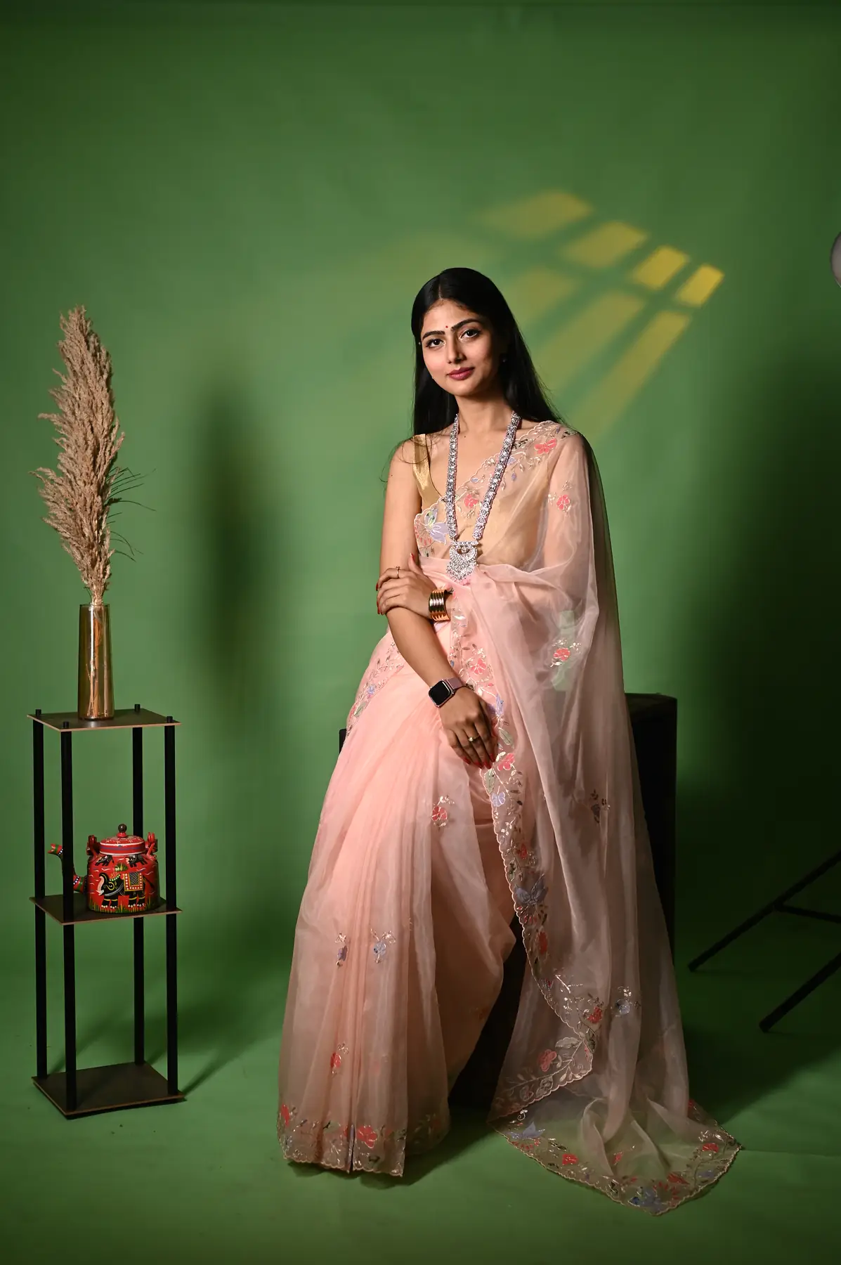 Applique work organza saree